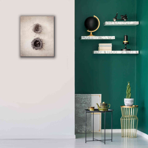 Image of 'Nest IV' by Debra Van Swearingen, Canvas Wall Art,20 x 24