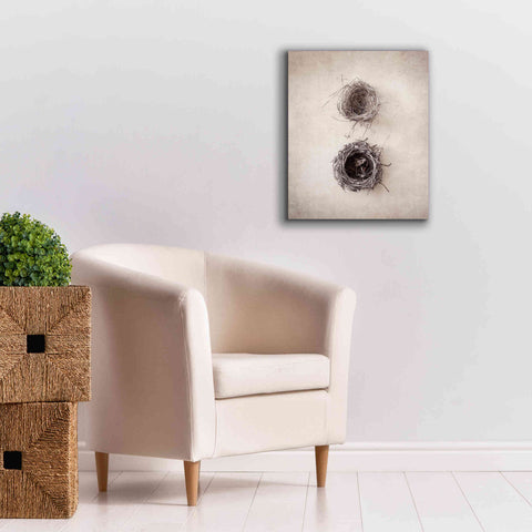 Image of 'Nest IV' by Debra Van Swearingen, Canvas Wall Art,20 x 24