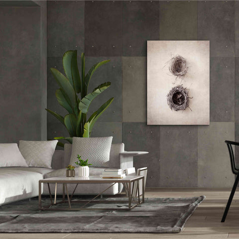 Image of 'Nest IV' by Debra Van Swearingen, Canvas Wall Art,40 x 54