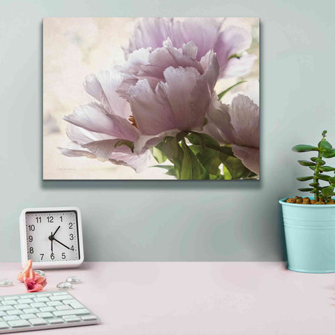 Image of 'Translucent Peony I' by Debra Van Swearingen, Canvas Wall Art,16 x 12