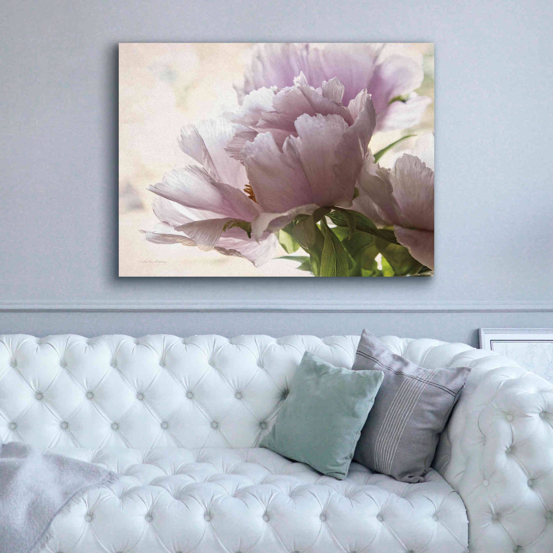 'Translucent Peony I' by Debra Van Swearingen, Canvas Wall Art,54 x 40