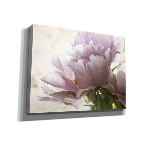Image of 'Translucent Peony I' by Debra Van Swearingen, Canvas Wall Art,16x12x1.1x0,26x18x1.1x0,34x26x1.74x0,54x40x1.74x0