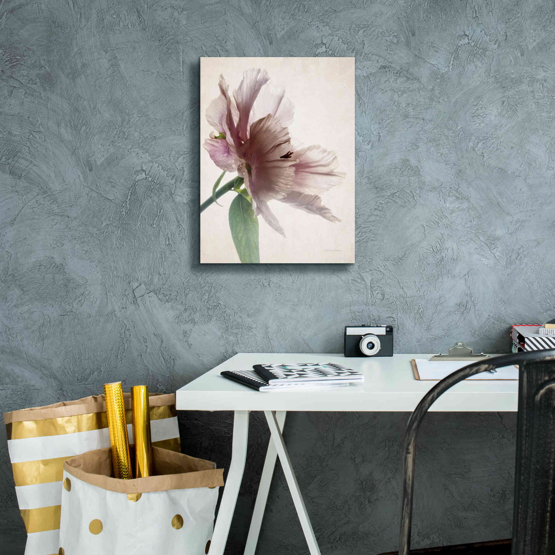 'Translucent Peony II' by Debra Van Swearingen, Canvas Wall Art,12 x 16