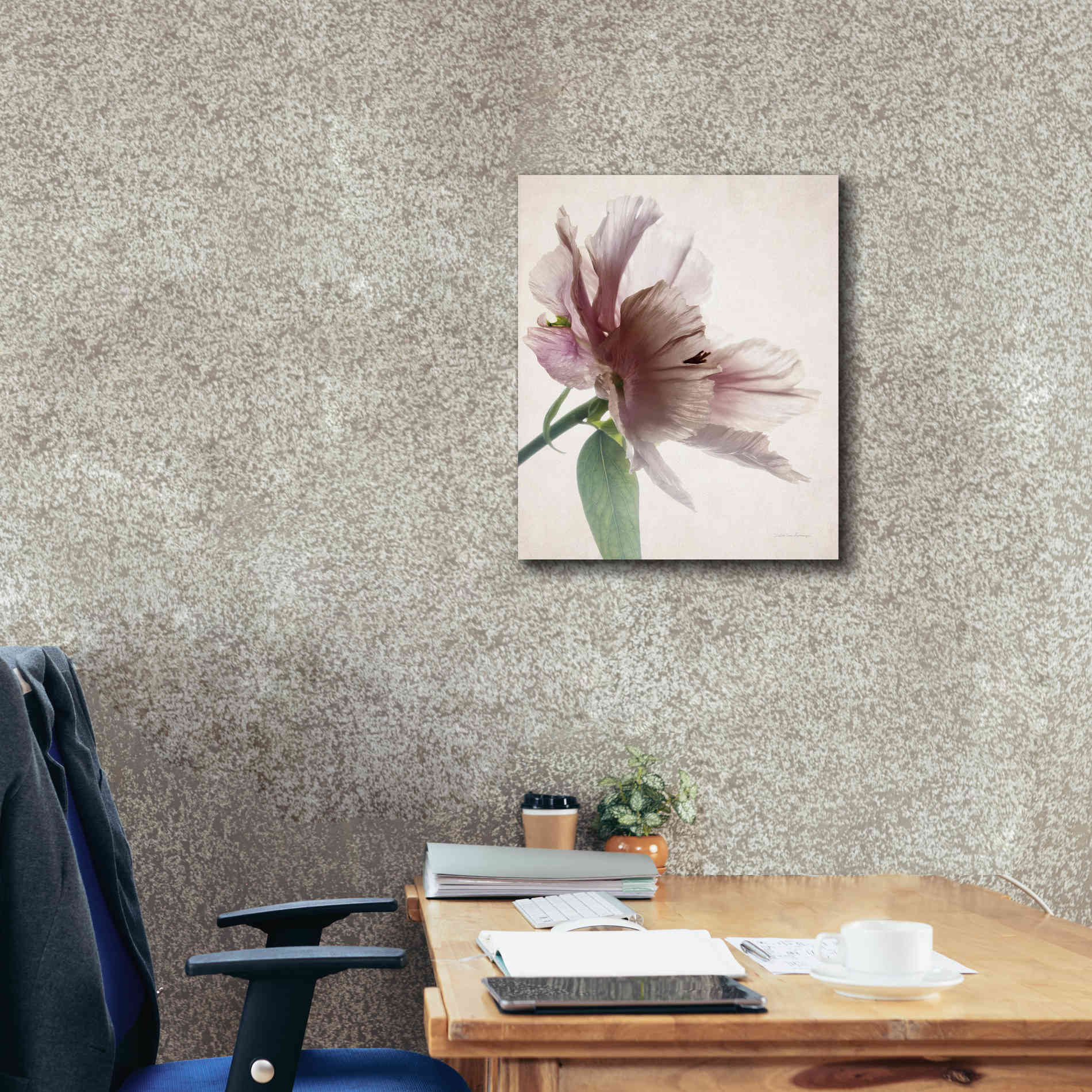 'Translucent Peony II' by Debra Van Swearingen, Canvas Wall Art,20 x 24