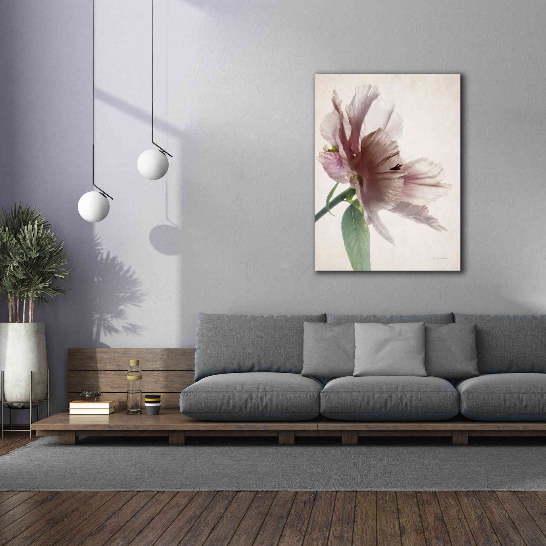 'Translucent Peony II' by Debra Van Swearingen, Canvas Wall Art,40 x 54