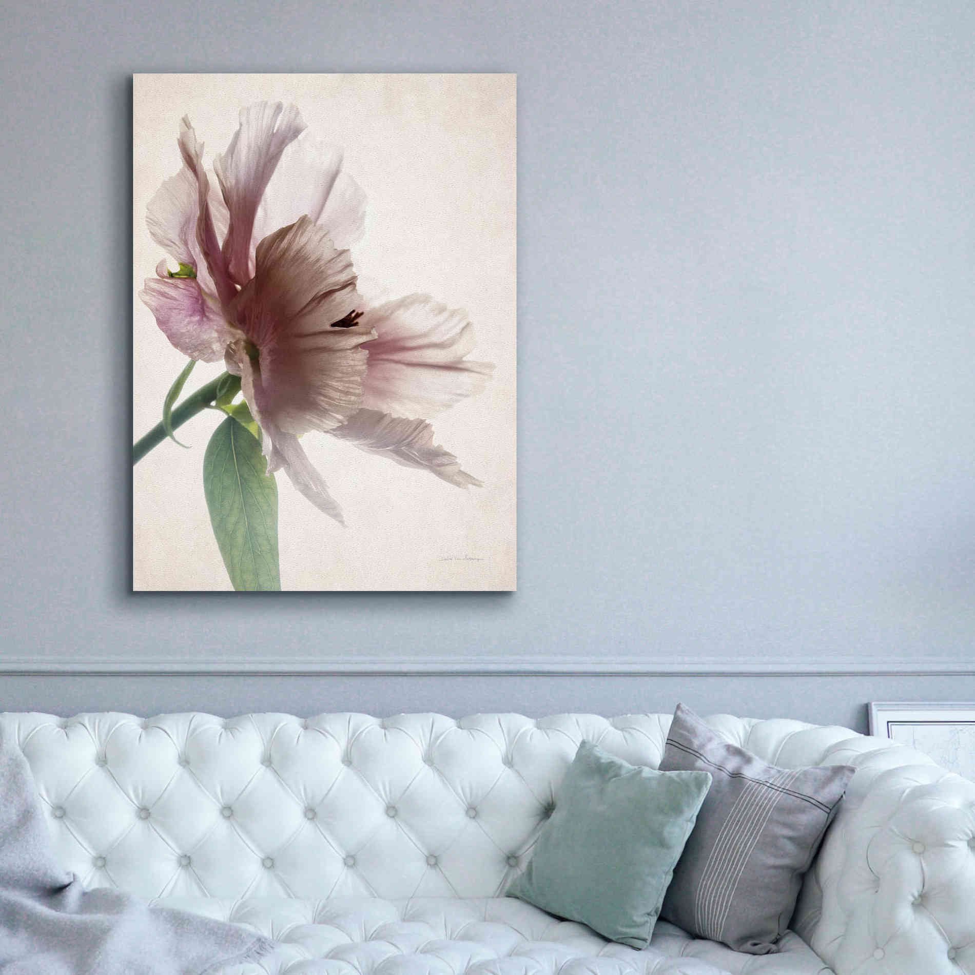'Translucent Peony II' by Debra Van Swearingen, Canvas Wall Art,40 x 54