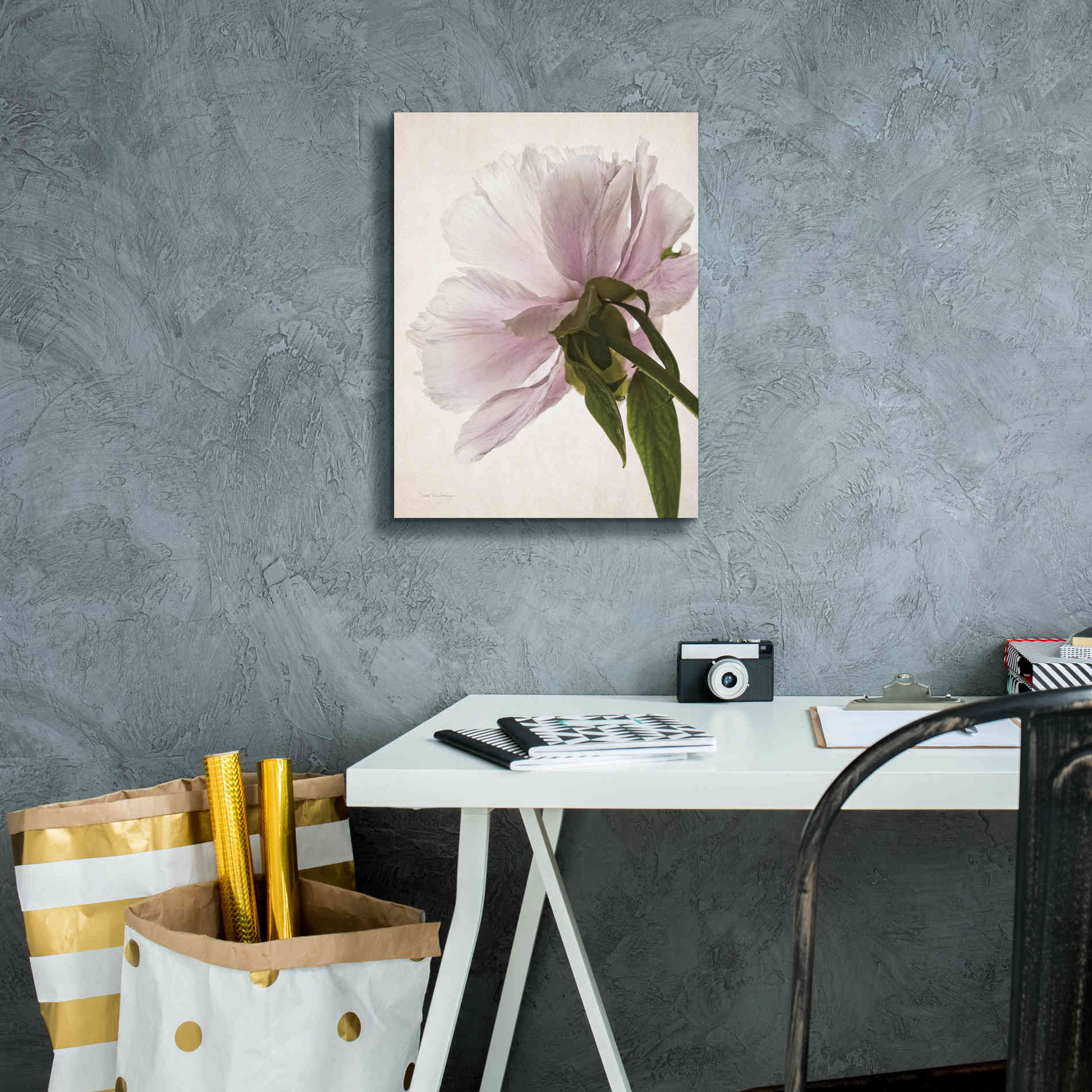 'Translucent Peony III' by Debra Van Swearingen, Canvas Wall Art,12 x 16