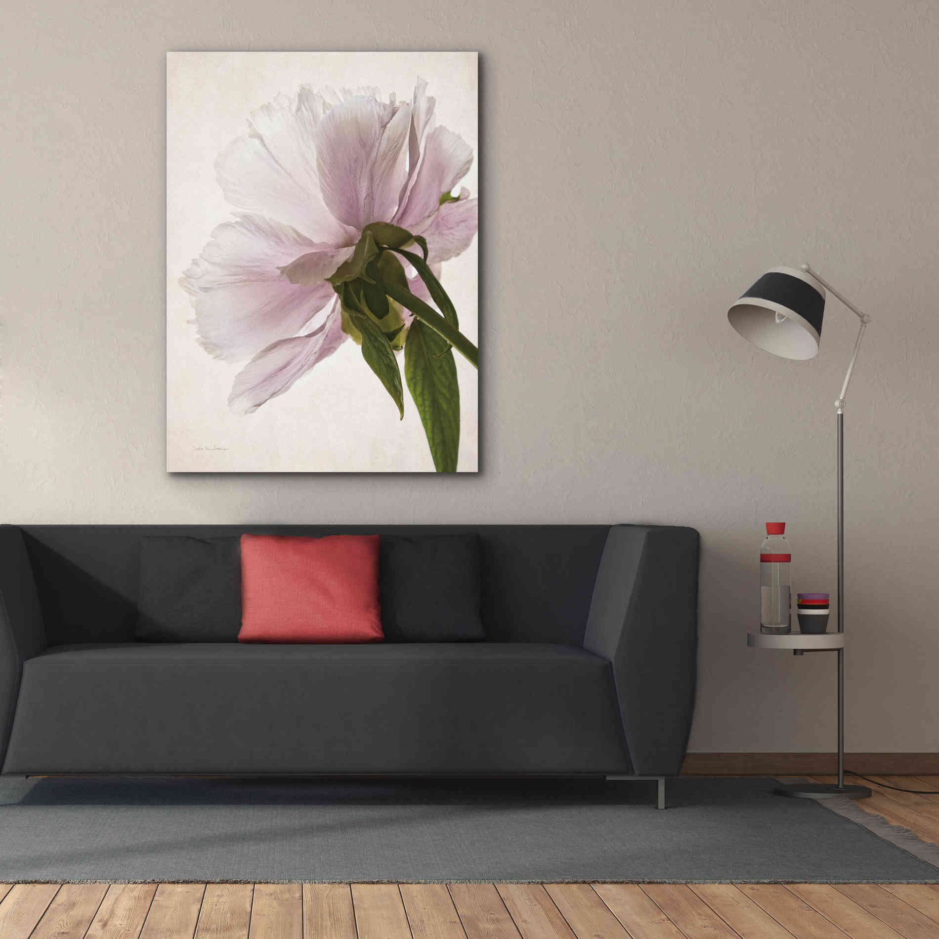 'Translucent Peony III' by Debra Van Swearingen, Canvas Wall Art,40 x 54