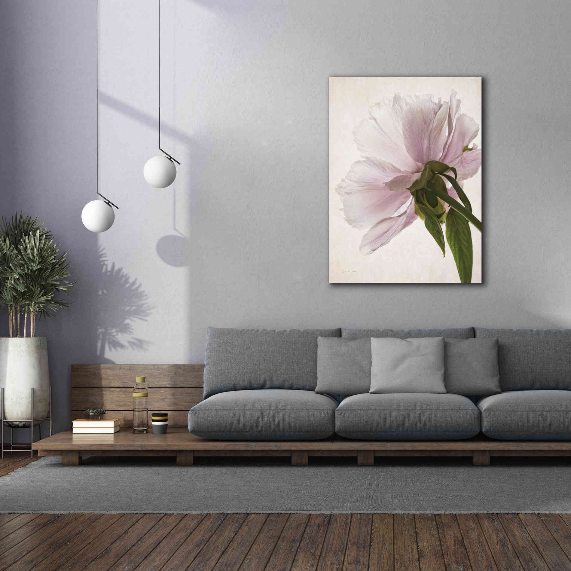'Translucent Peony III' by Debra Van Swearingen, Canvas Wall Art,40 x 54