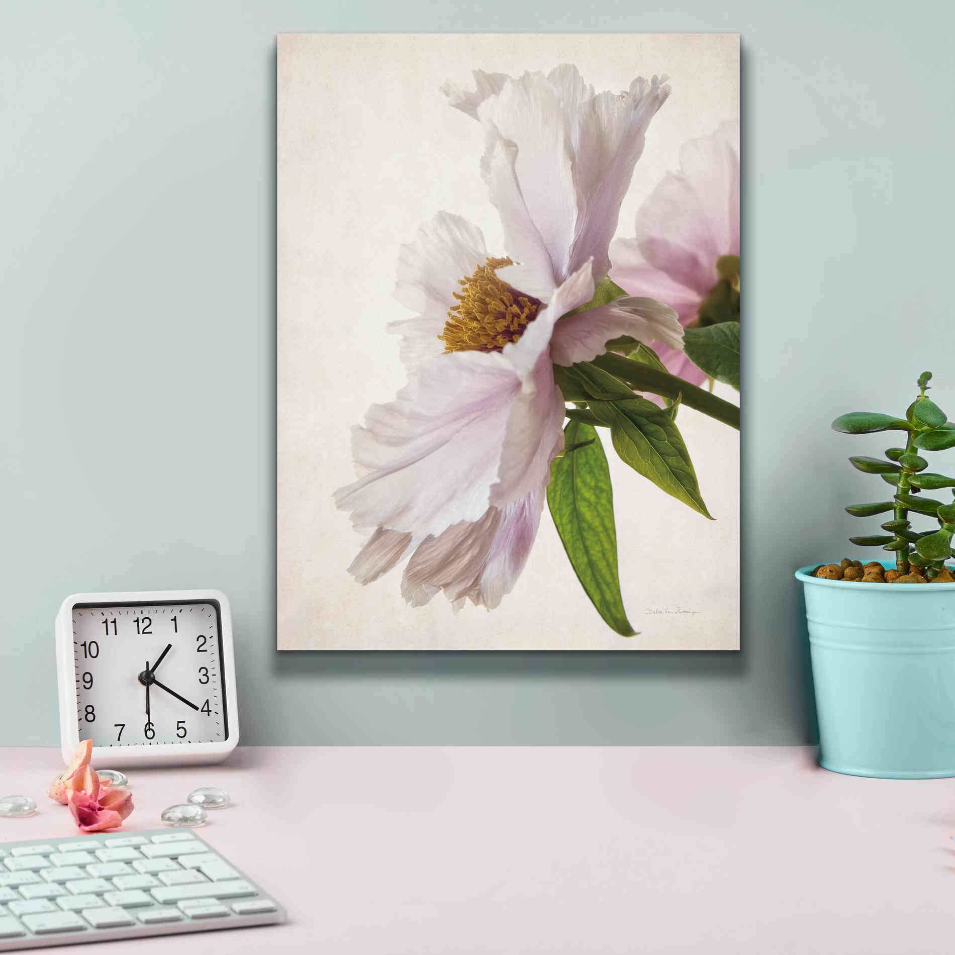 'Translucent Peony IV' by Debra Van Swearingen, Canvas Wall Art,12 x 16
