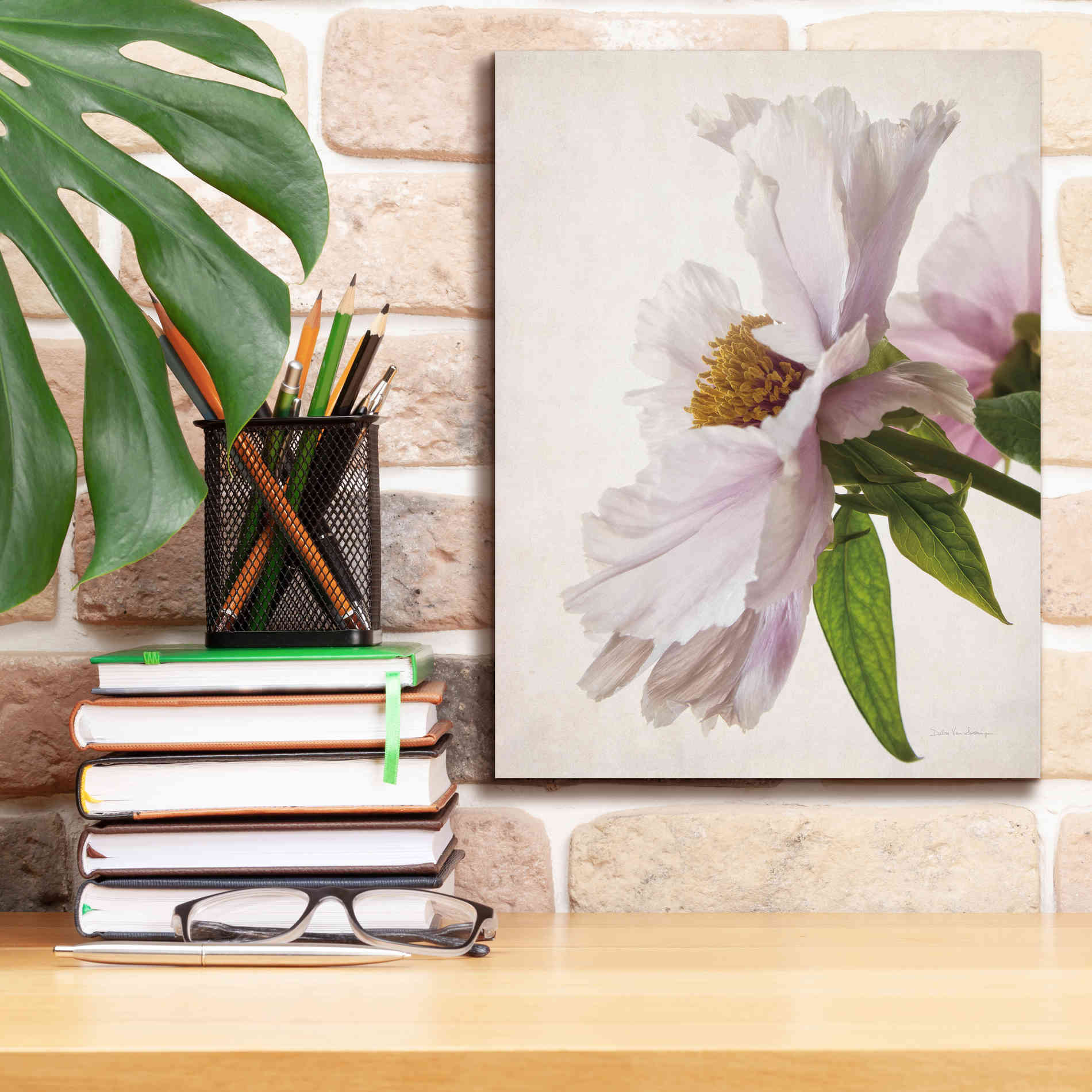 'Translucent Peony IV' by Debra Van Swearingen, Canvas Wall Art,12 x 16