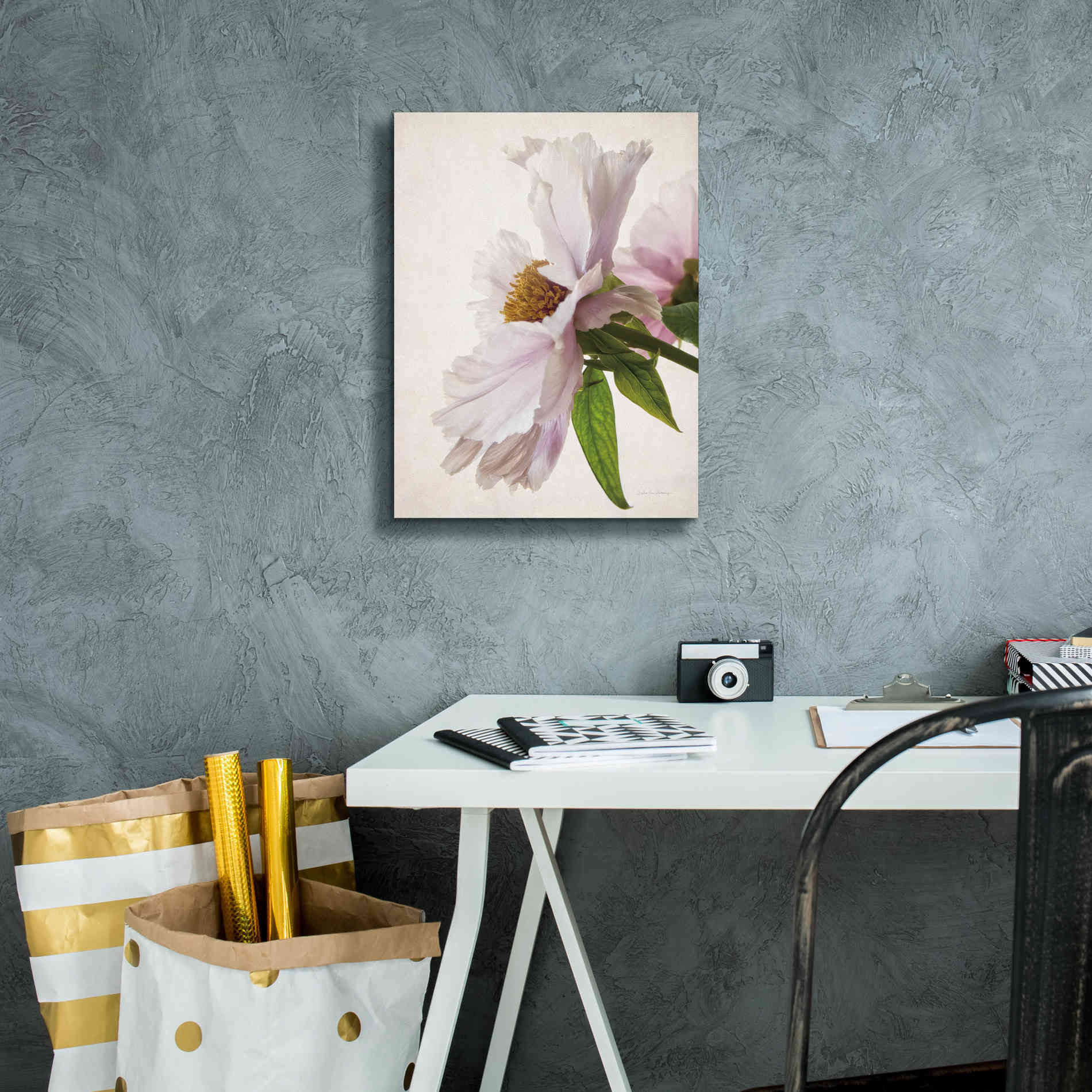 'Translucent Peony IV' by Debra Van Swearingen, Canvas Wall Art,12 x 16