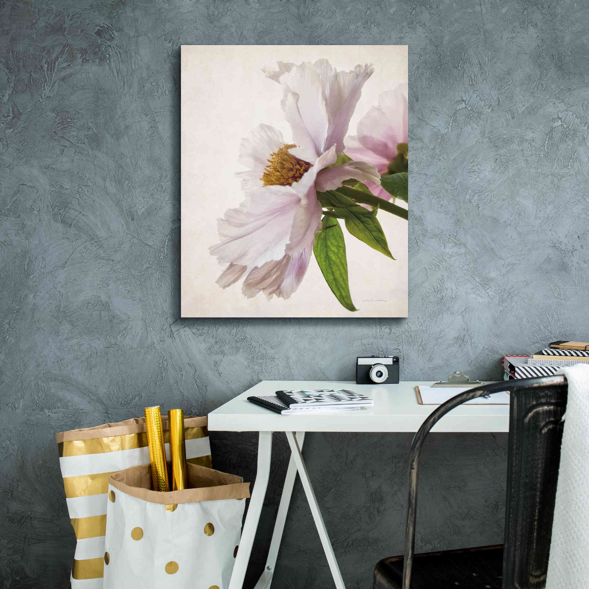 'Translucent Peony IV' by Debra Van Swearingen, Canvas Wall Art,20 x 24