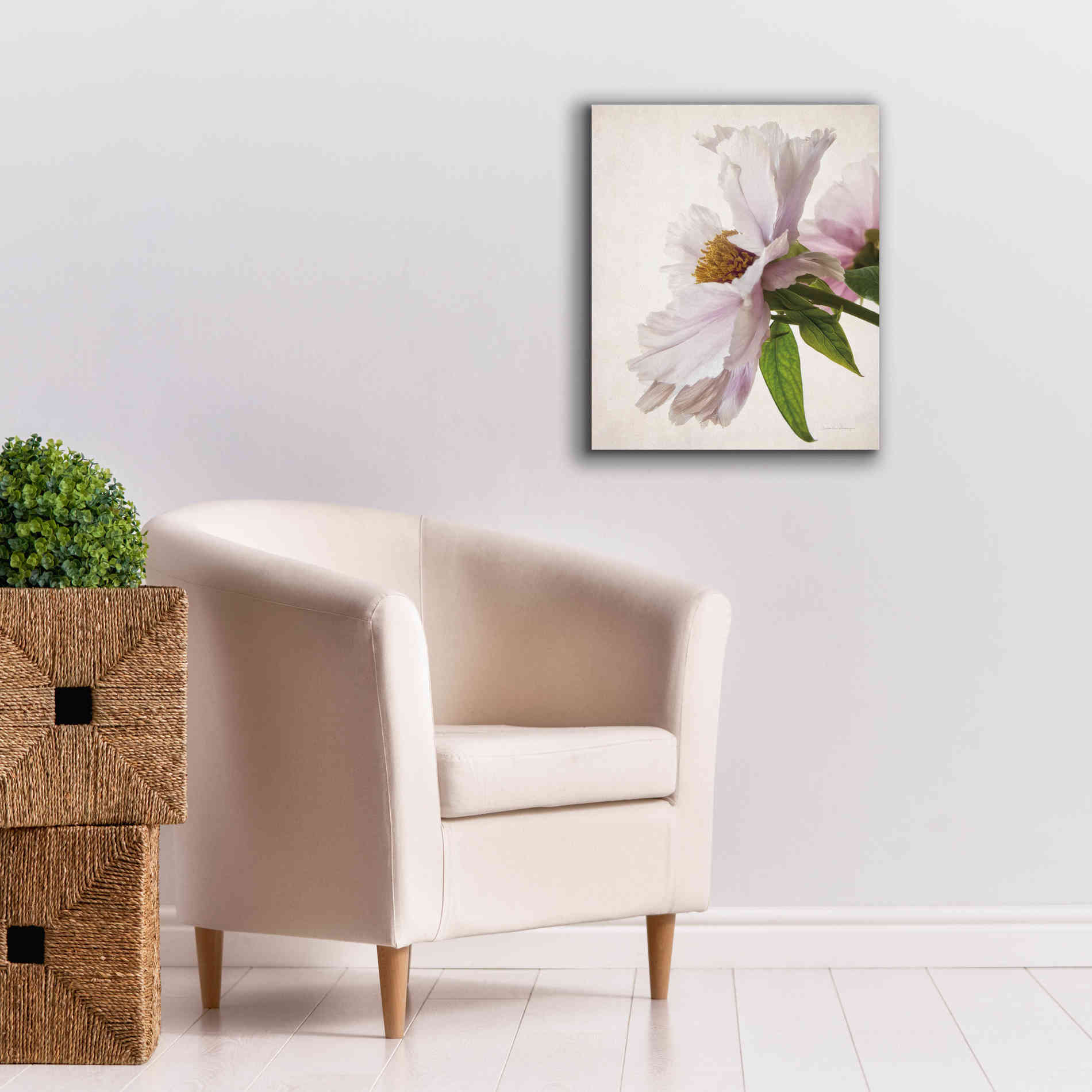 'Translucent Peony IV' by Debra Van Swearingen, Canvas Wall Art,20 x 24