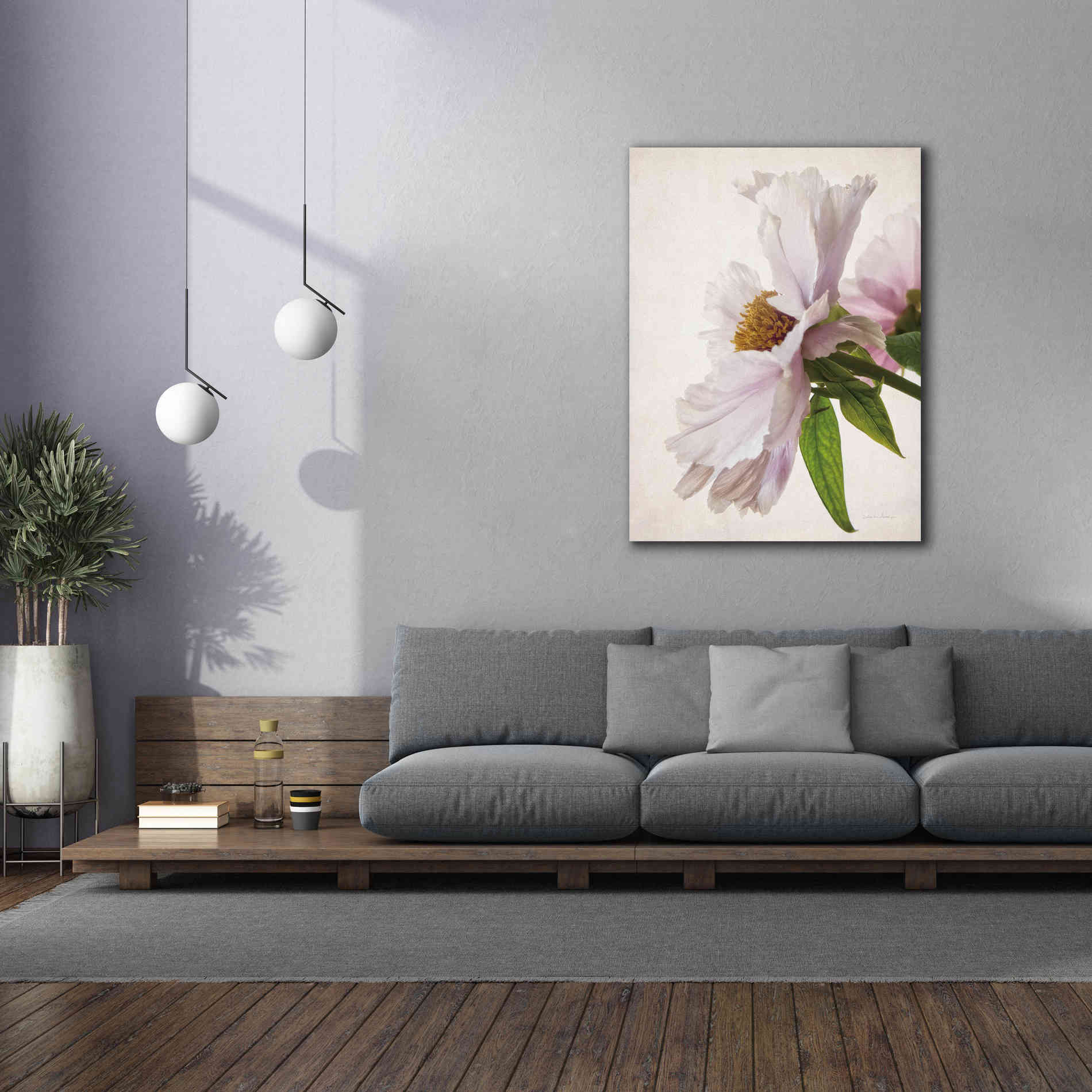 'Translucent Peony IV' by Debra Van Swearingen, Canvas Wall Art,40 x 54