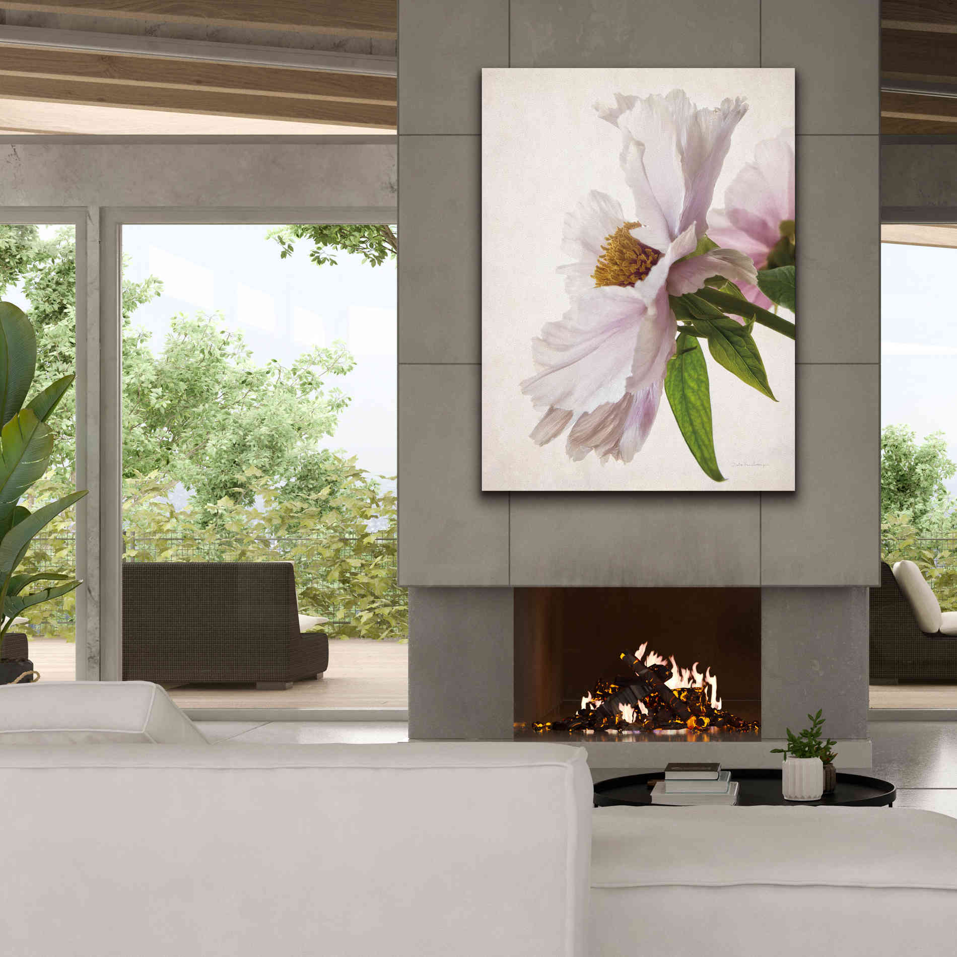 'Translucent Peony IV' by Debra Van Swearingen, Canvas Wall Art,40 x 54