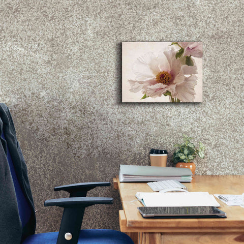 Image of 'Translucent Peony V' by Debra Van Swearingen, Canvas Wall Art,16 x 12