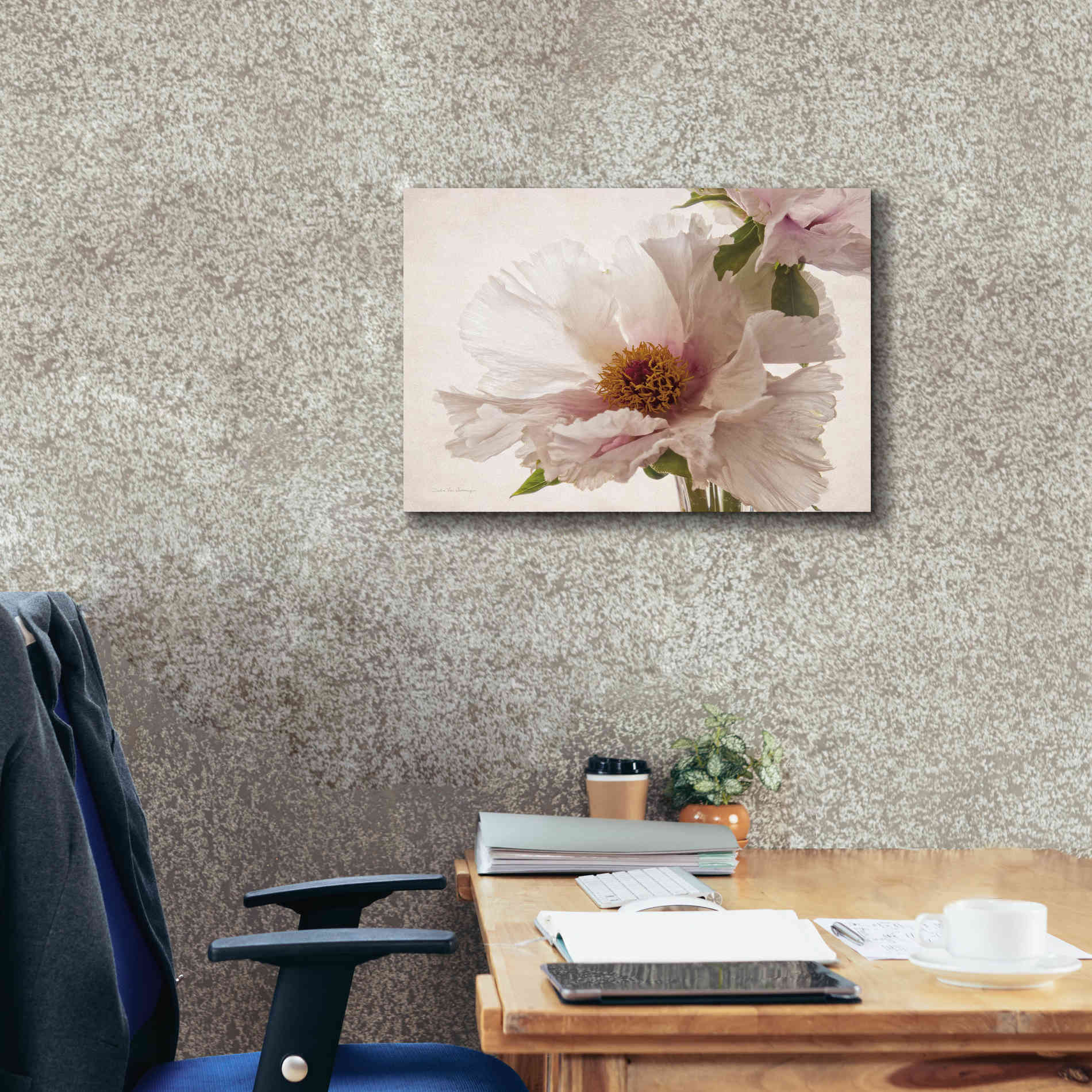 'Translucent Peony V' by Debra Van Swearingen, Canvas Wall Art,24 x 20