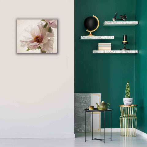 Image of 'Translucent Peony V' by Debra Van Swearingen, Canvas Wall Art,24 x 20