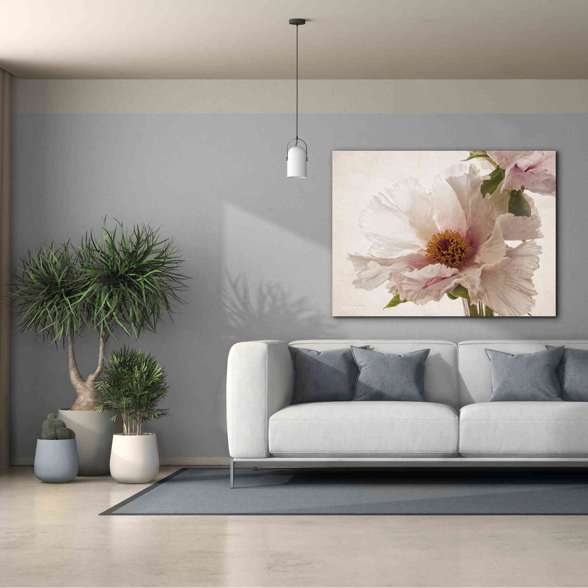 'Translucent Peony V' by Debra Van Swearingen, Canvas Wall Art,54 x 40