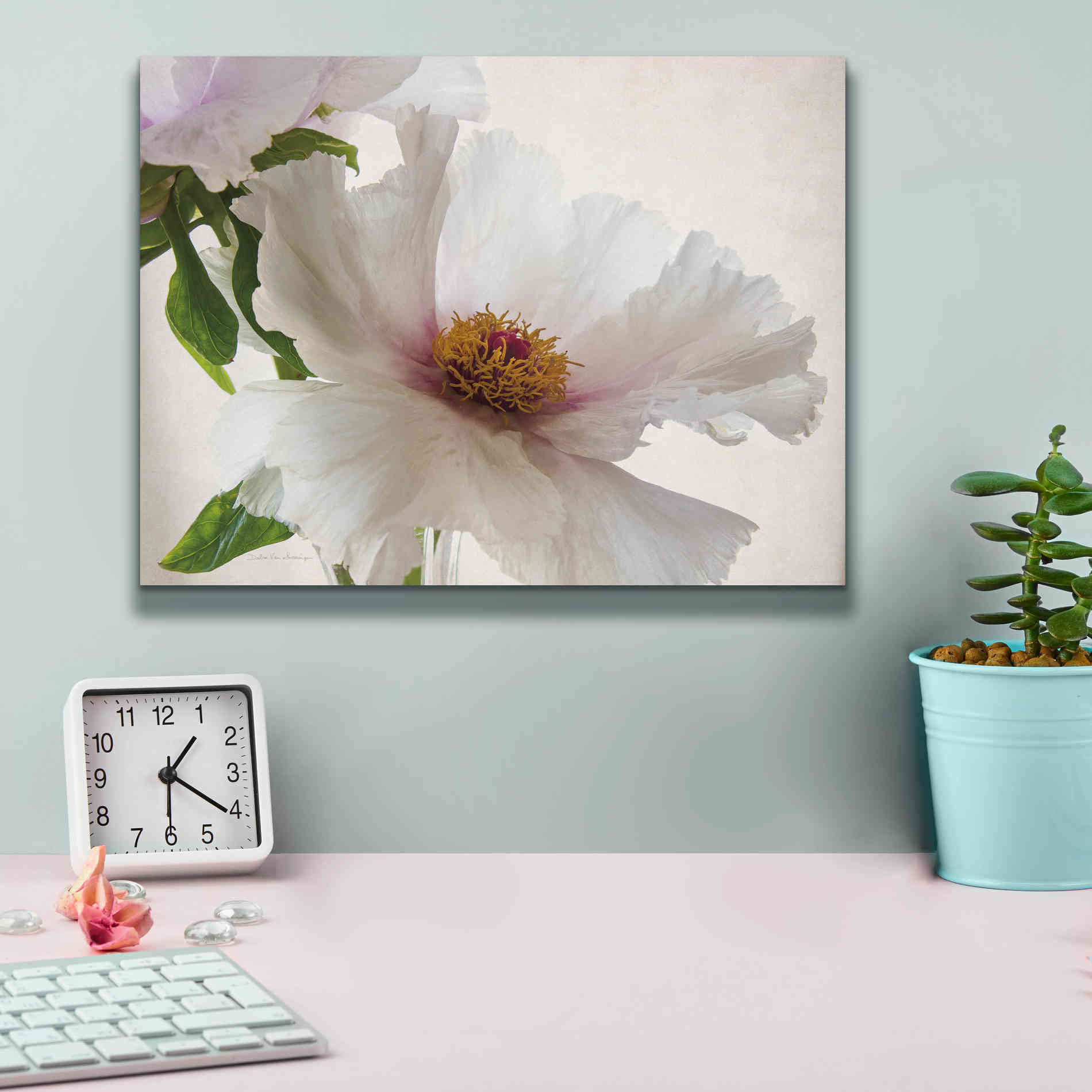 'Translucent Peony VI' by Debra Van Swearingen, Canvas Wall Art,16 x 12