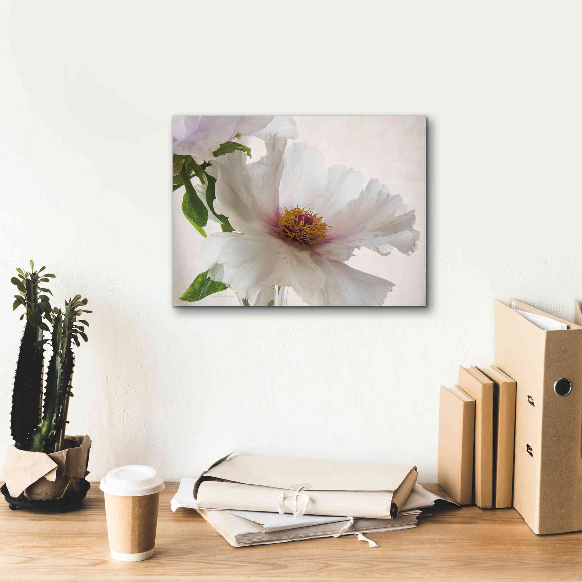 'Translucent Peony VI' by Debra Van Swearingen, Canvas Wall Art,16 x 12