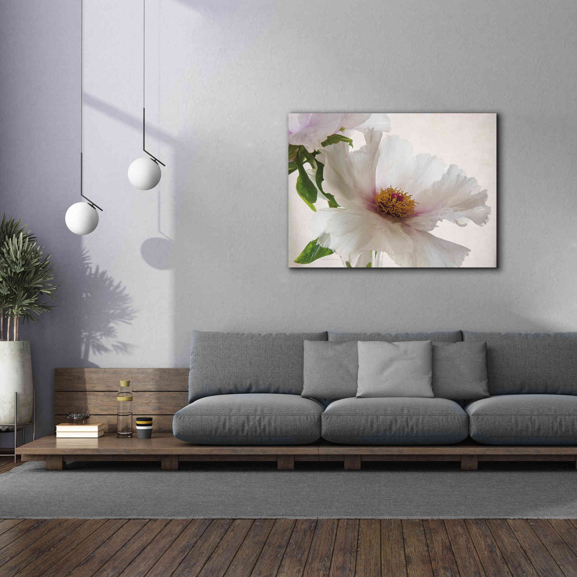'Translucent Peony VI' by Debra Van Swearingen, Canvas Wall Art,54 x 40
