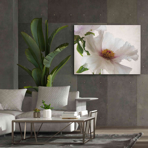 Image of 'Translucent Peony VI' by Debra Van Swearingen, Canvas Wall Art,54 x 40