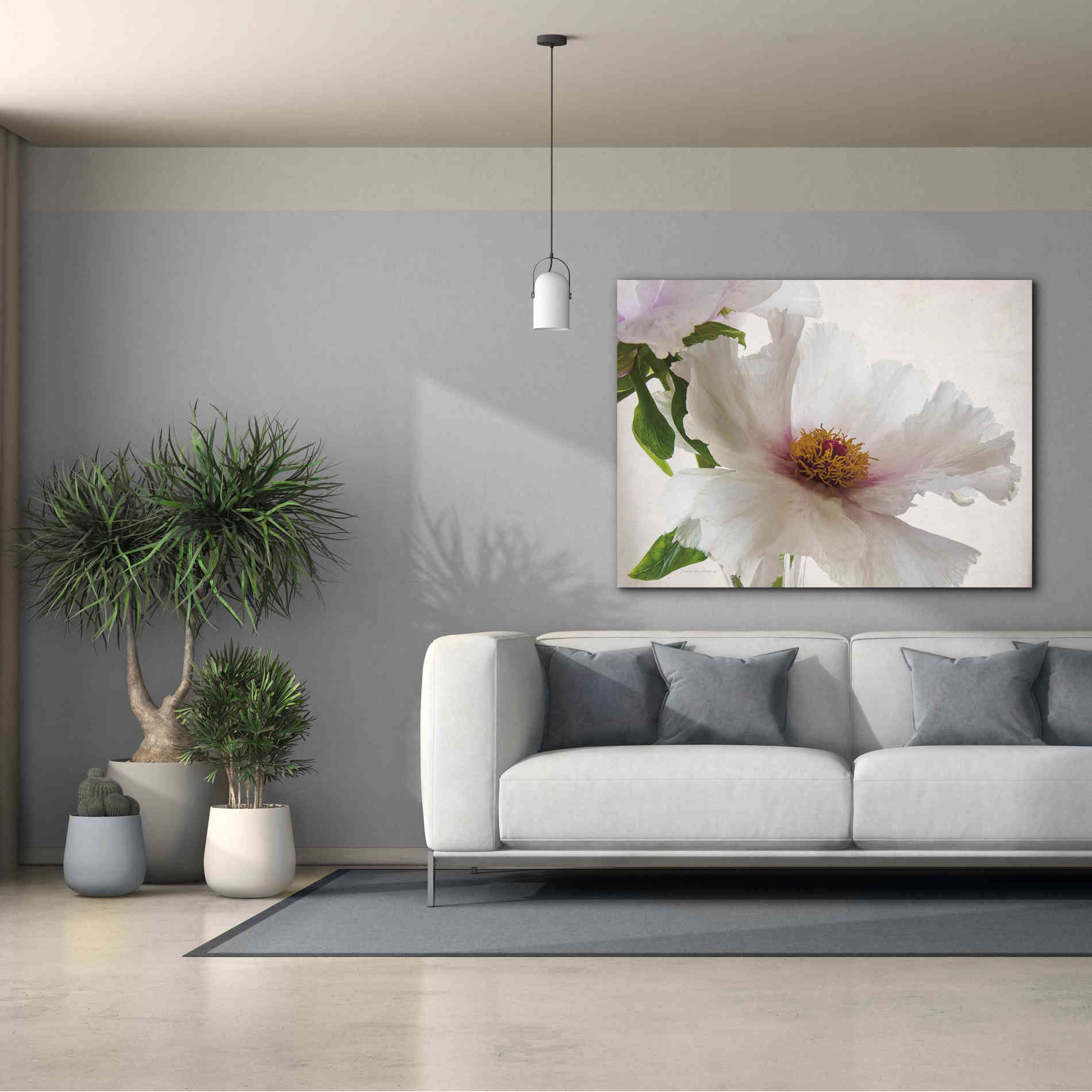 'Translucent Peony VI' by Debra Van Swearingen, Canvas Wall Art,54 x 40