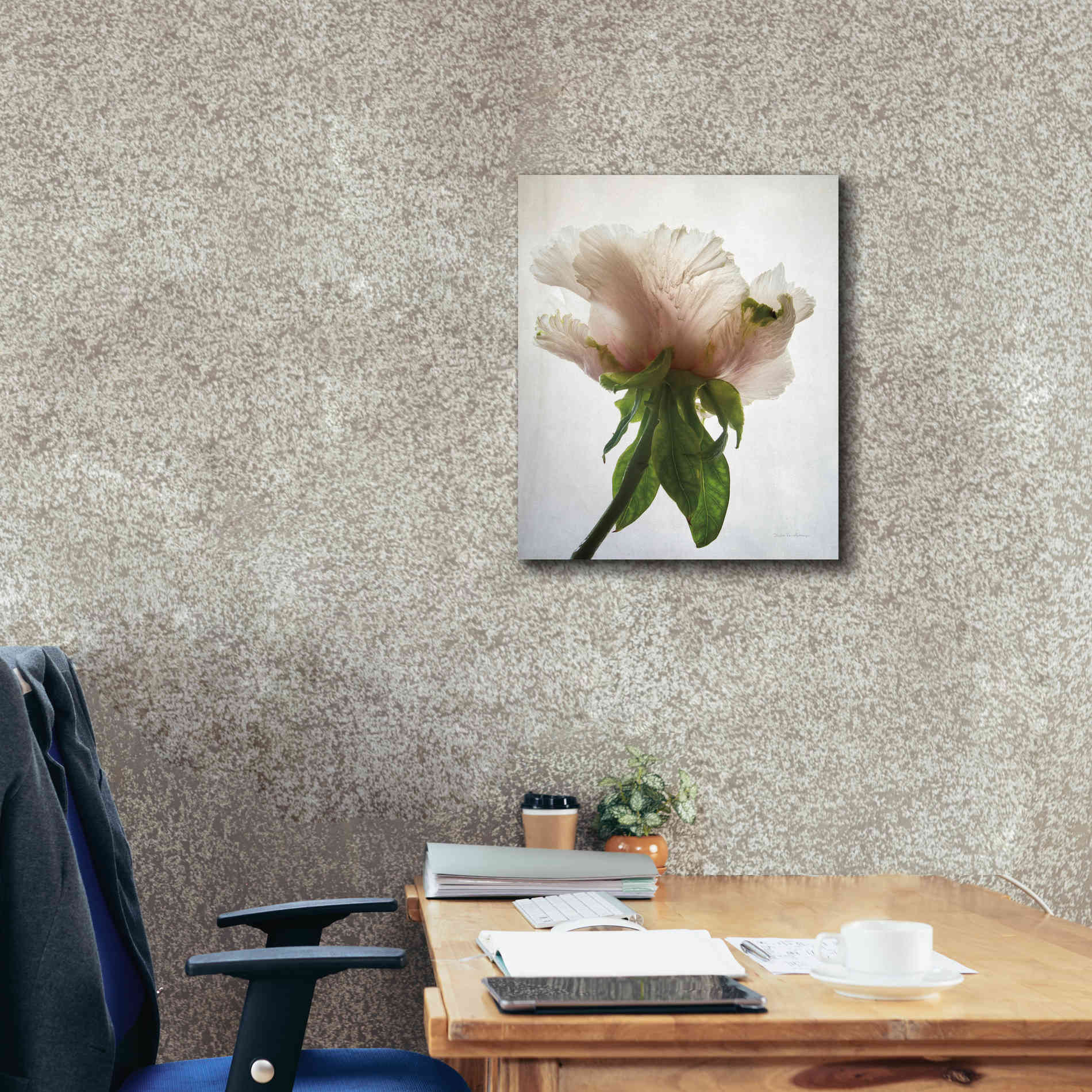 'Translucent Peony VII' by Debra Van Swearingen, Canvas Wall Art,20 x 24