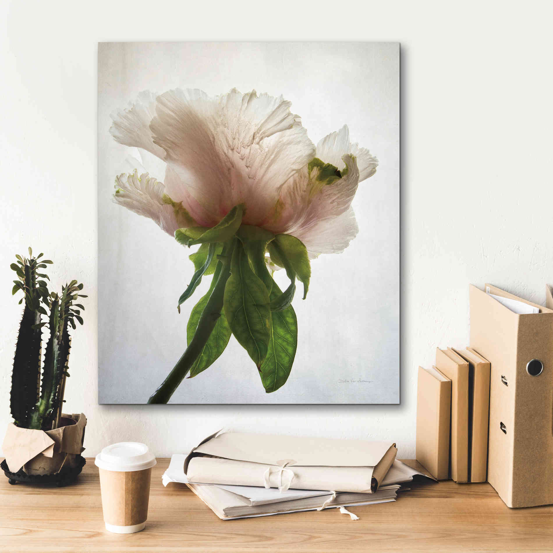 'Translucent Peony VII' by Debra Van Swearingen, Canvas Wall Art,20 x 24