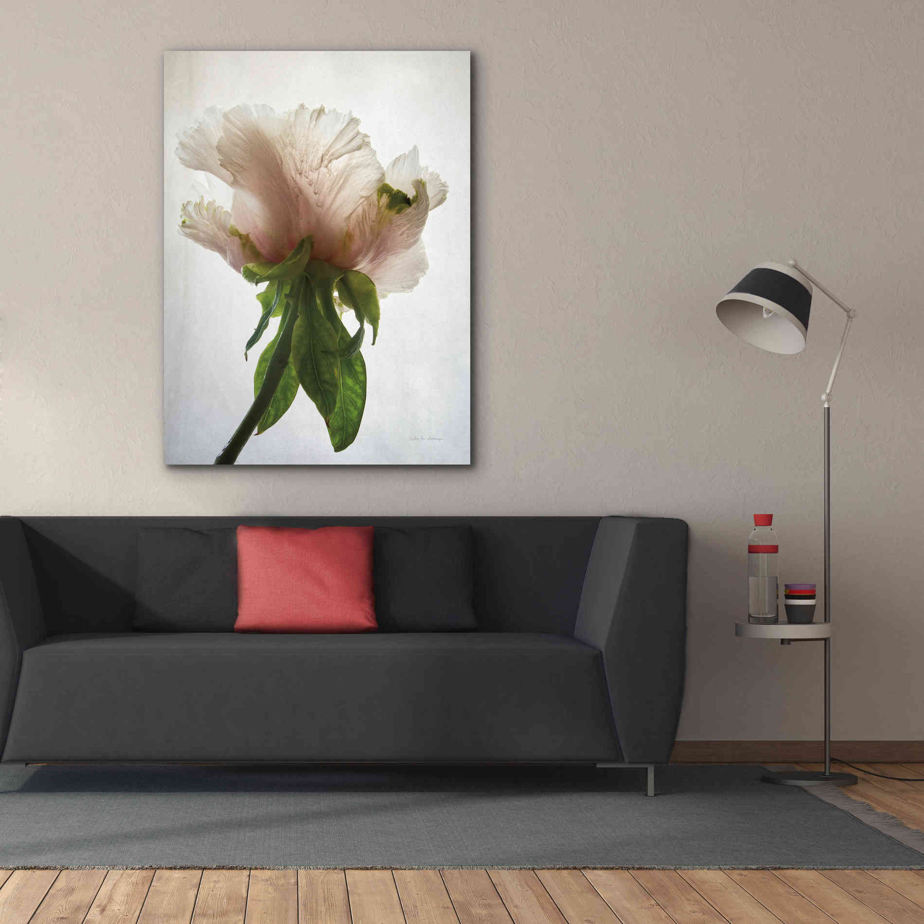 'Translucent Peony VII' by Debra Van Swearingen, Canvas Wall Art,40 x 54