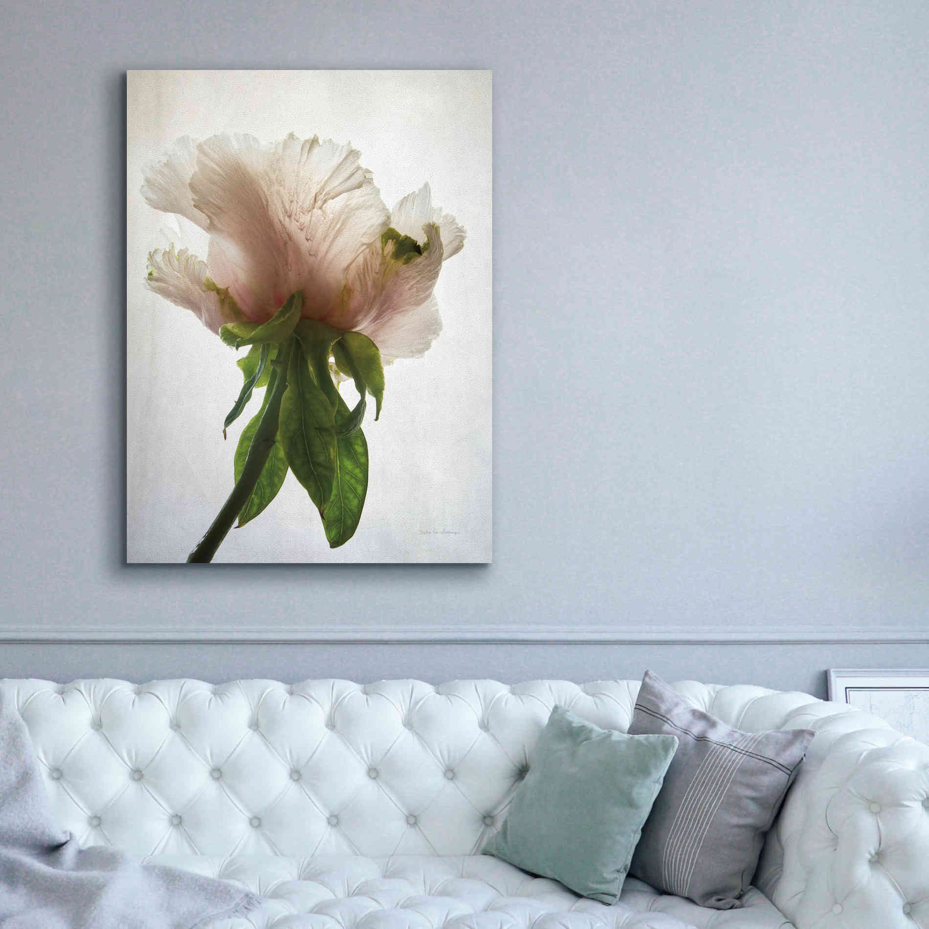 'Translucent Peony VII' by Debra Van Swearingen, Canvas Wall Art,40 x 54