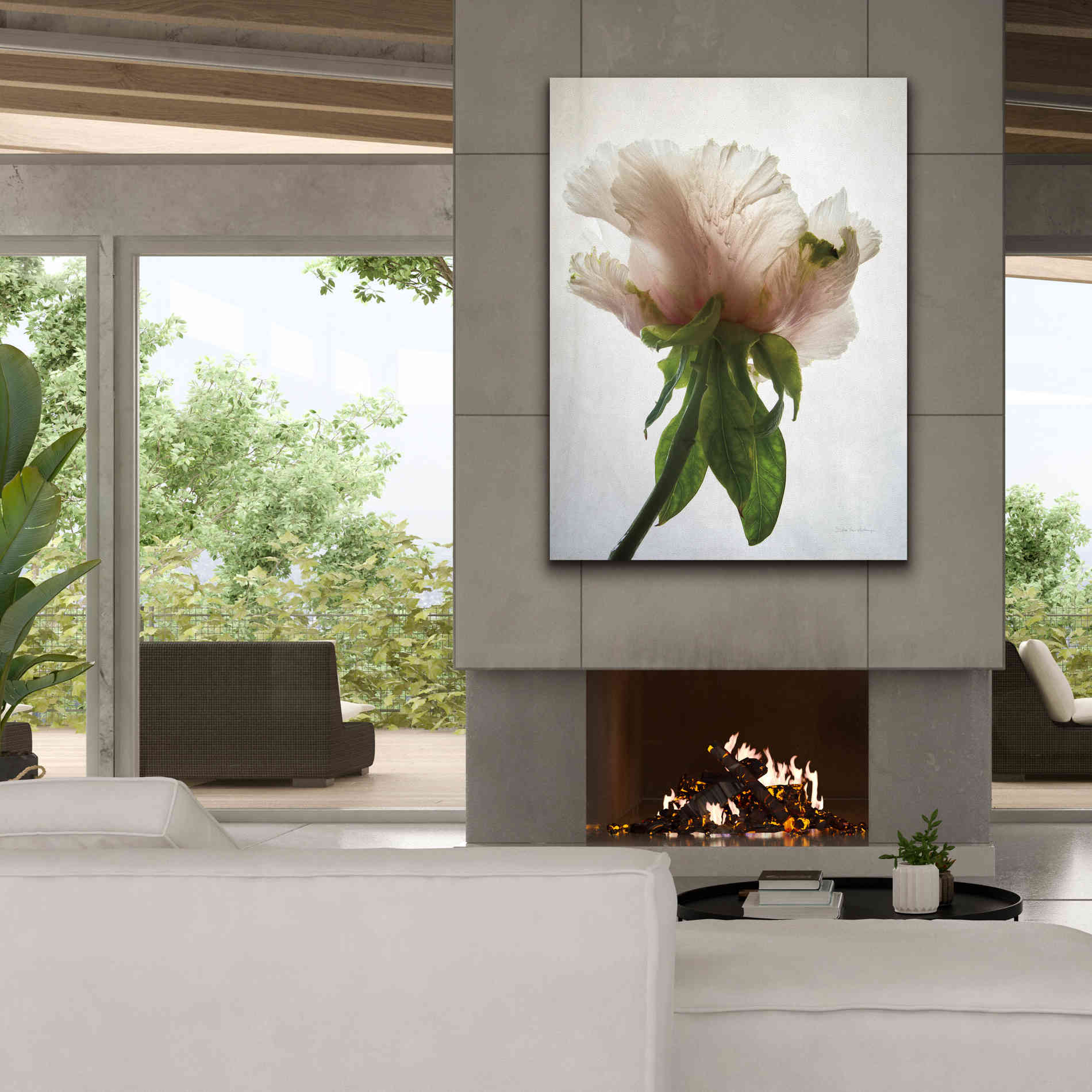 'Translucent Peony VII' by Debra Van Swearingen, Canvas Wall Art,40 x 54