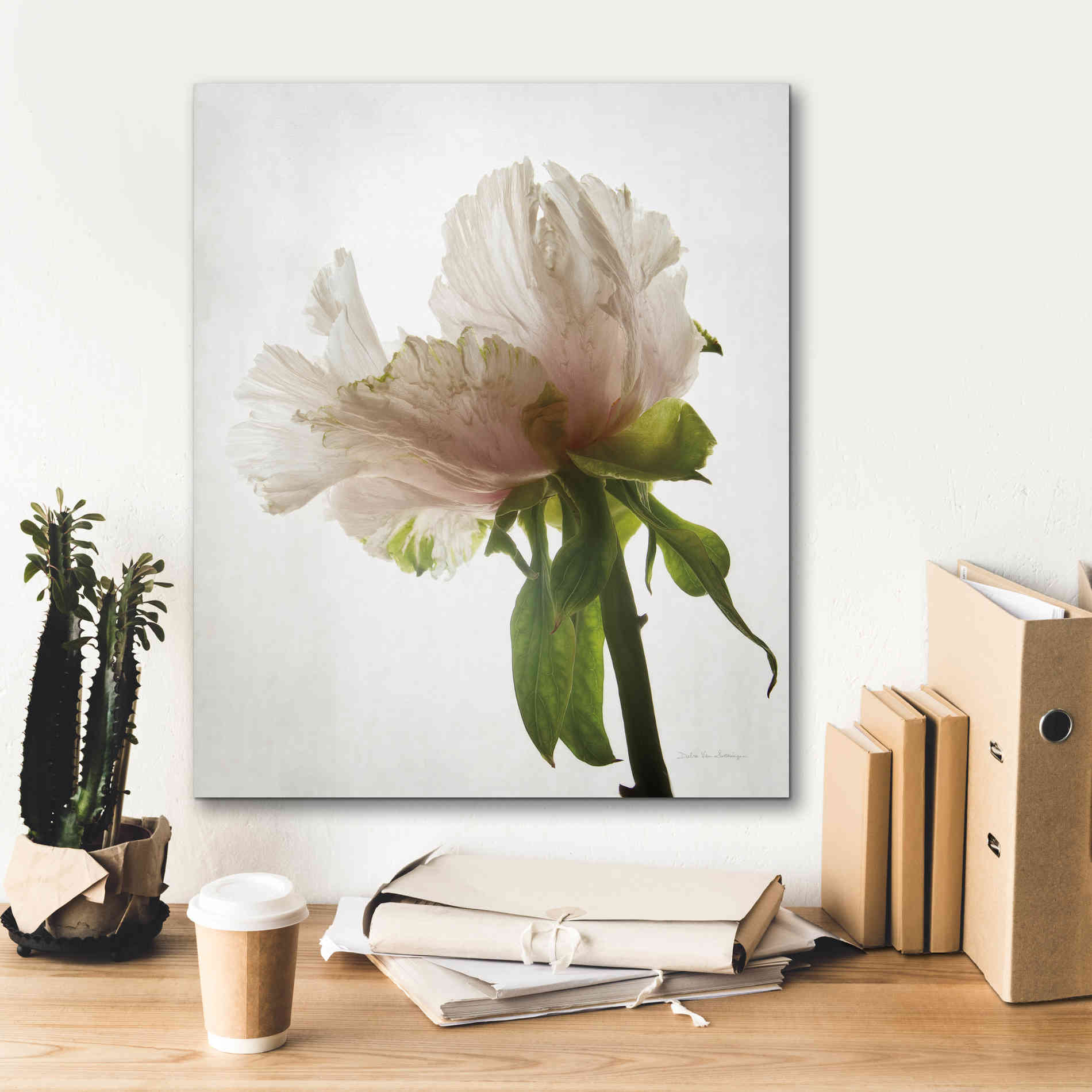 'Translucent Peony VIII' by Debra Van Swearingen, Canvas Wall Art,20 x 24