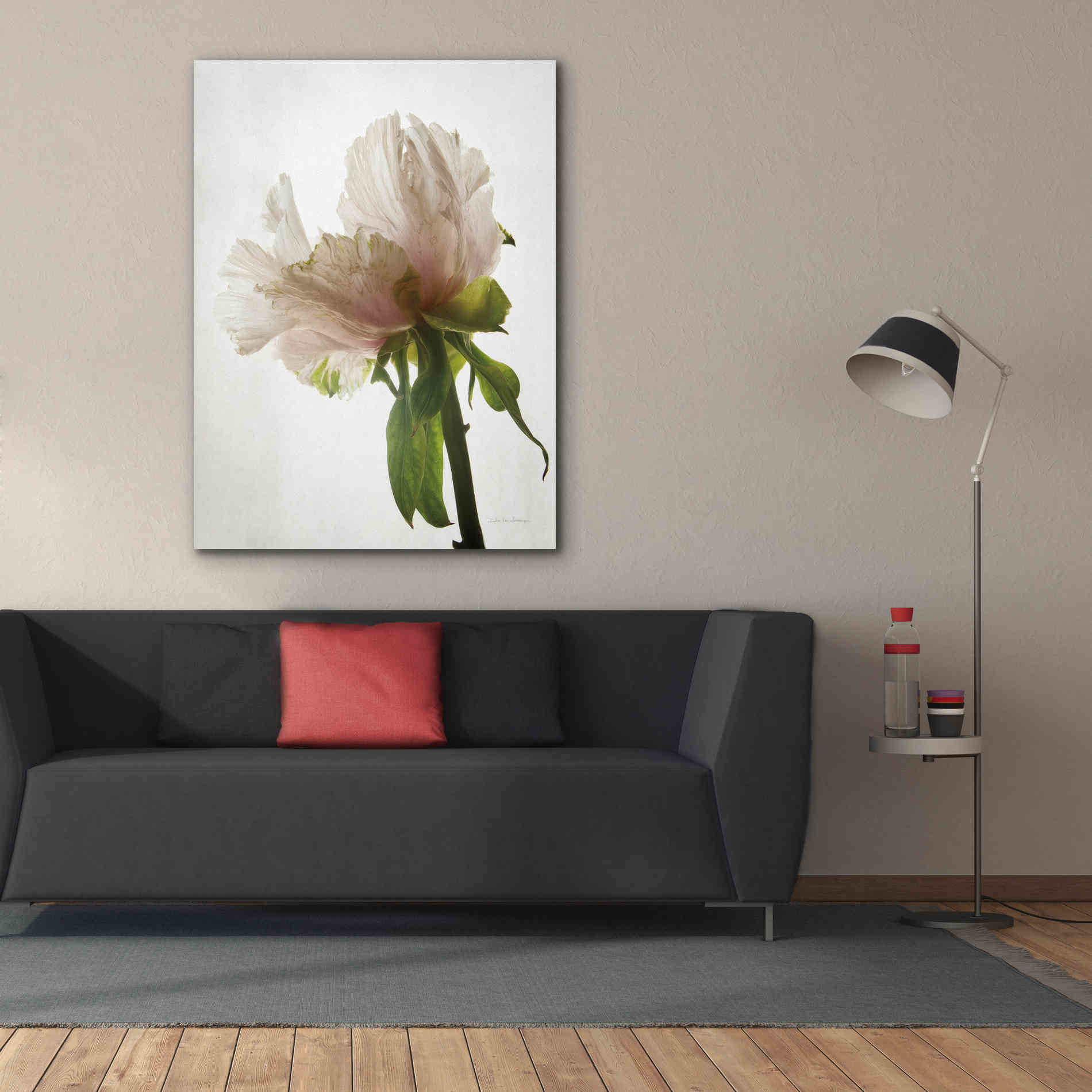 'Translucent Peony VIII' by Debra Van Swearingen, Canvas Wall Art,40 x 54
