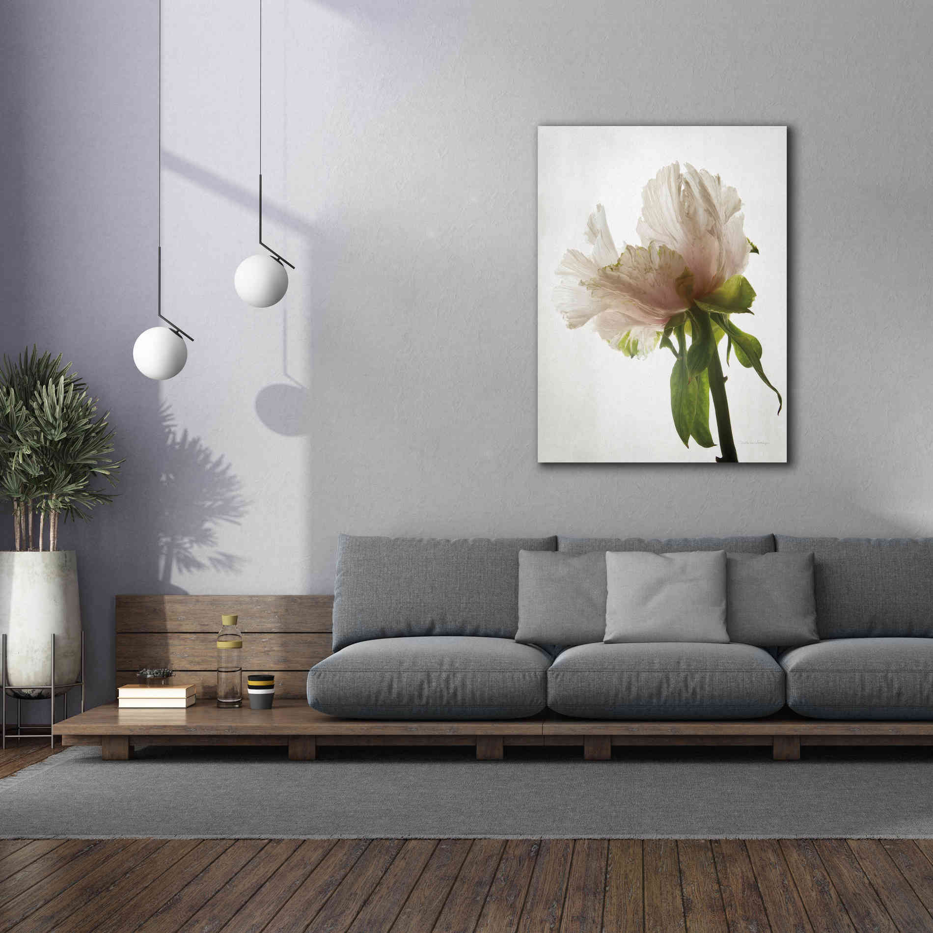 'Translucent Peony VIII' by Debra Van Swearingen, Canvas Wall Art,40 x 54