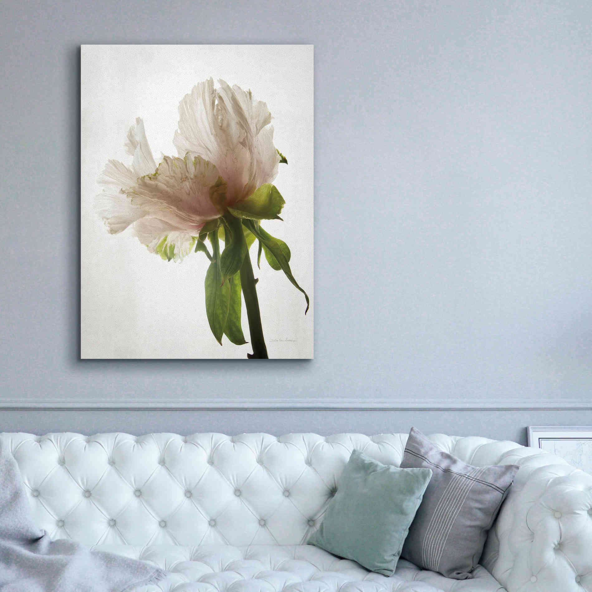 'Translucent Peony VIII' by Debra Van Swearingen, Canvas Wall Art,40 x 54