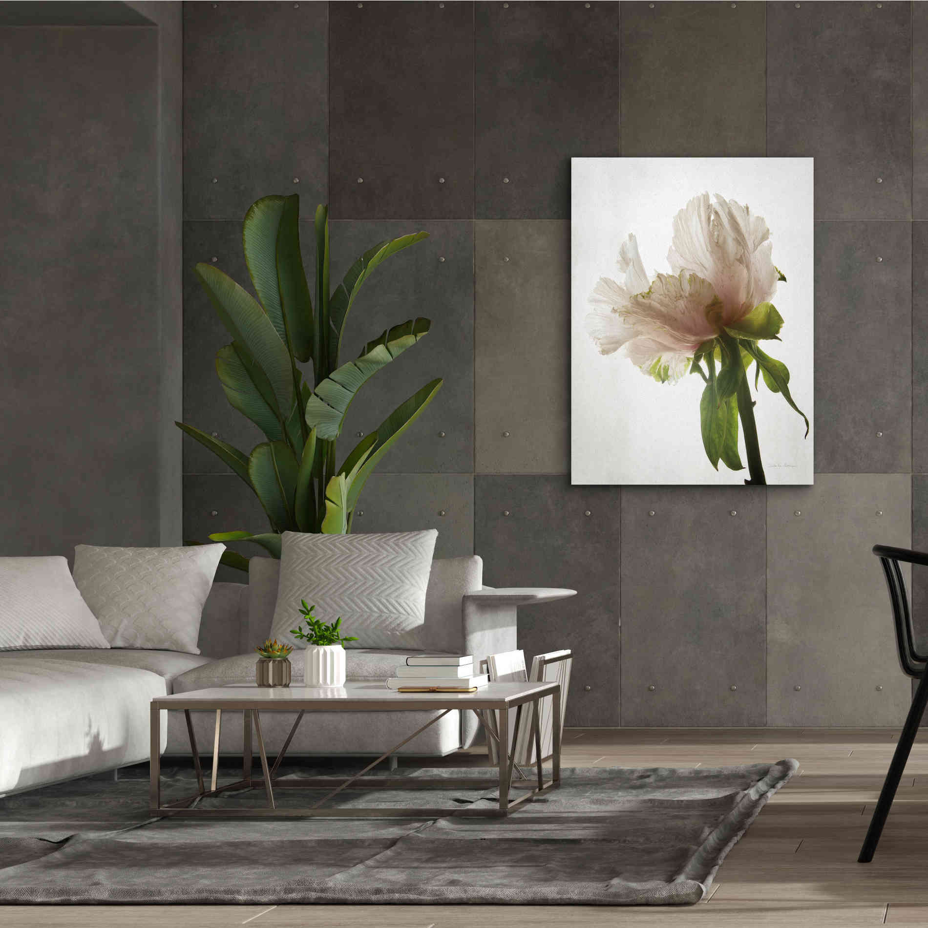 'Translucent Peony VIII' by Debra Van Swearingen, Canvas Wall Art,40 x 54