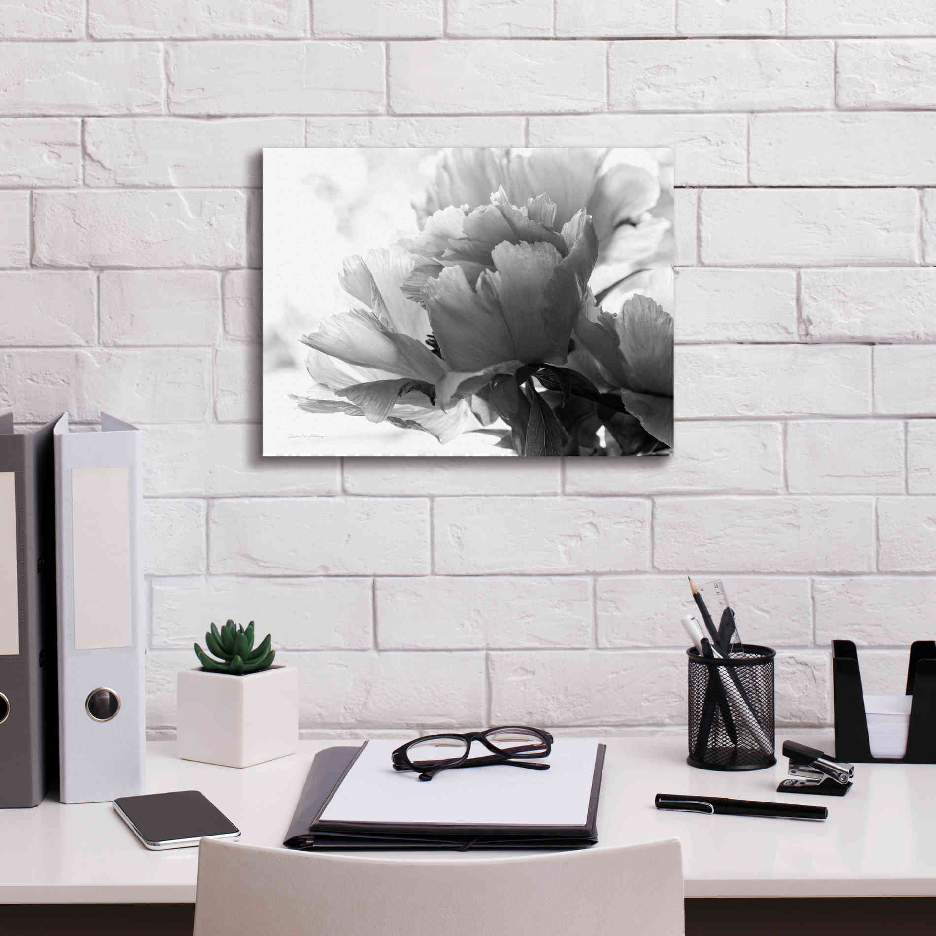 'Translucent Peony IBW' by Debra Van Swearingen, Canvas Wall Art,16 x 12