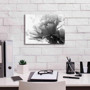 'Translucent Peony IBW' by Debra Van Swearingen, Canvas Wall Art,16 x 12