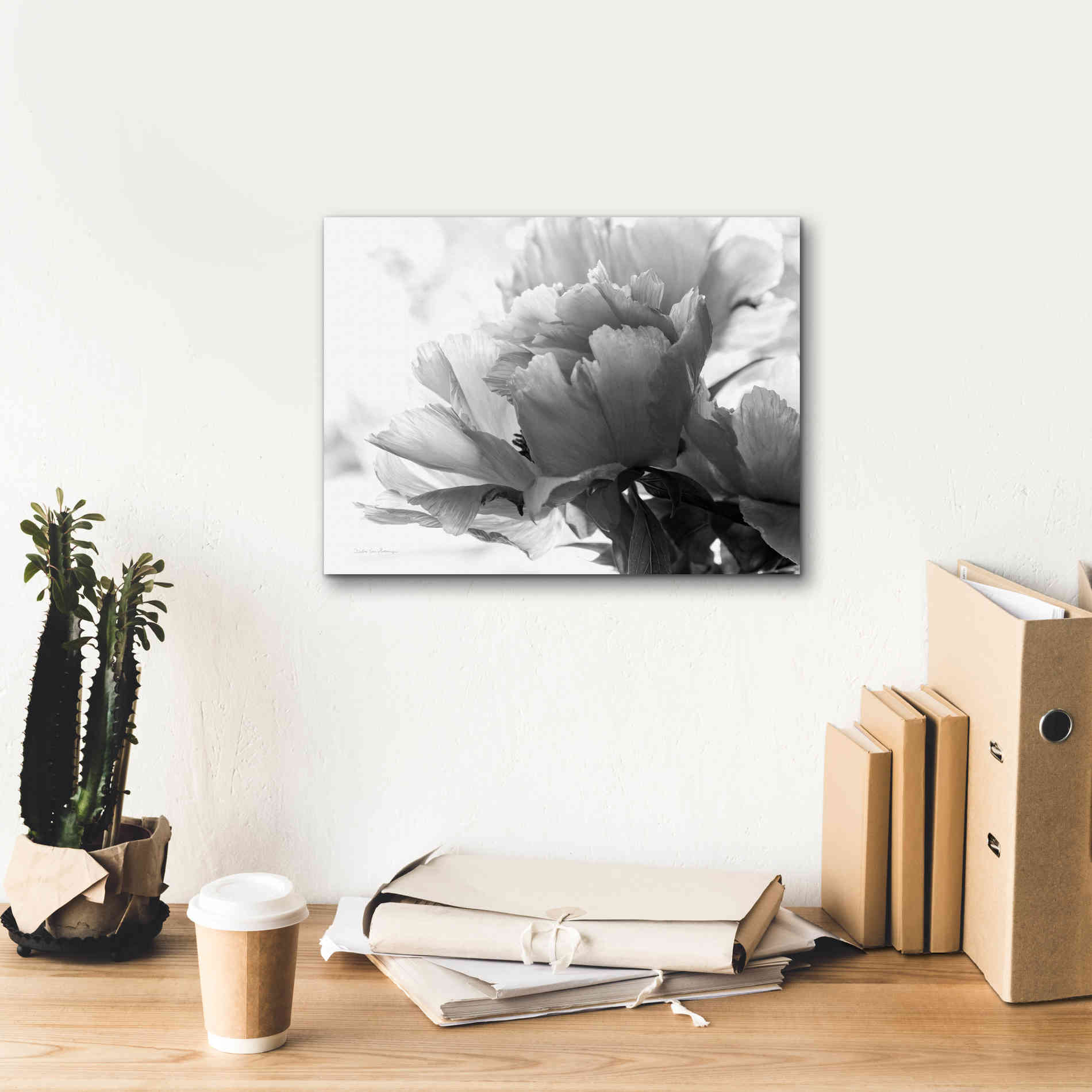 'Translucent Peony IBW' by Debra Van Swearingen, Canvas Wall Art,16 x 12