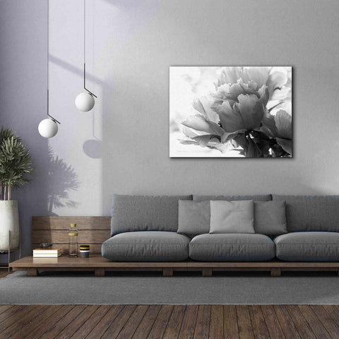 Image of 'Translucent Peony IBW' by Debra Van Swearingen, Canvas Wall Art,54 x 40