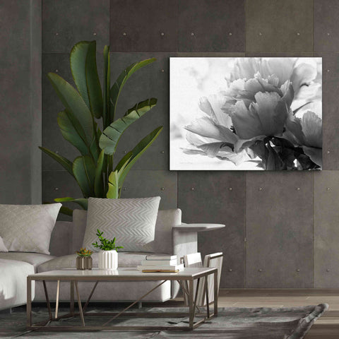 Image of 'Translucent Peony IBW' by Debra Van Swearingen, Canvas Wall Art,54 x 40