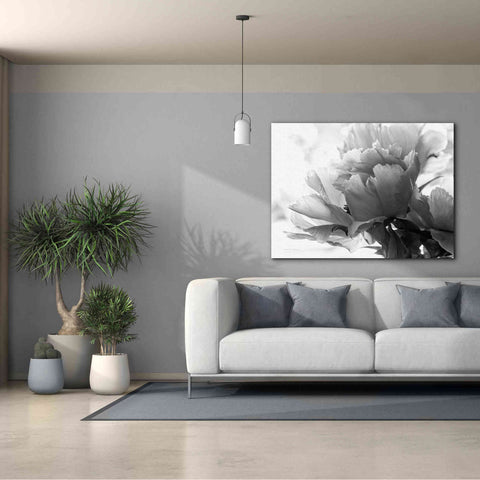 Image of 'Translucent Peony IBW' by Debra Van Swearingen, Canvas Wall Art,54 x 40