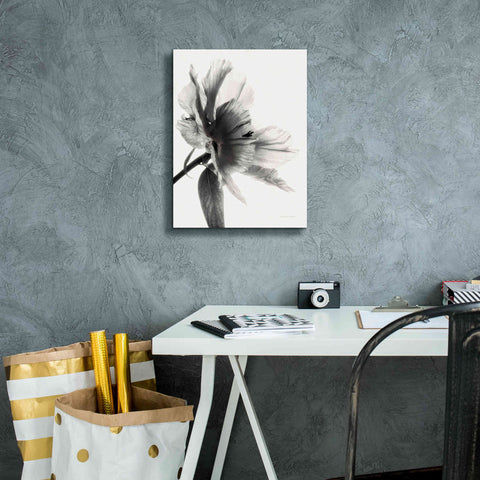 Image of 'Translucent Peony IIBW' by Debra Van Swearingen, Canvas Wall Art,12 x 16