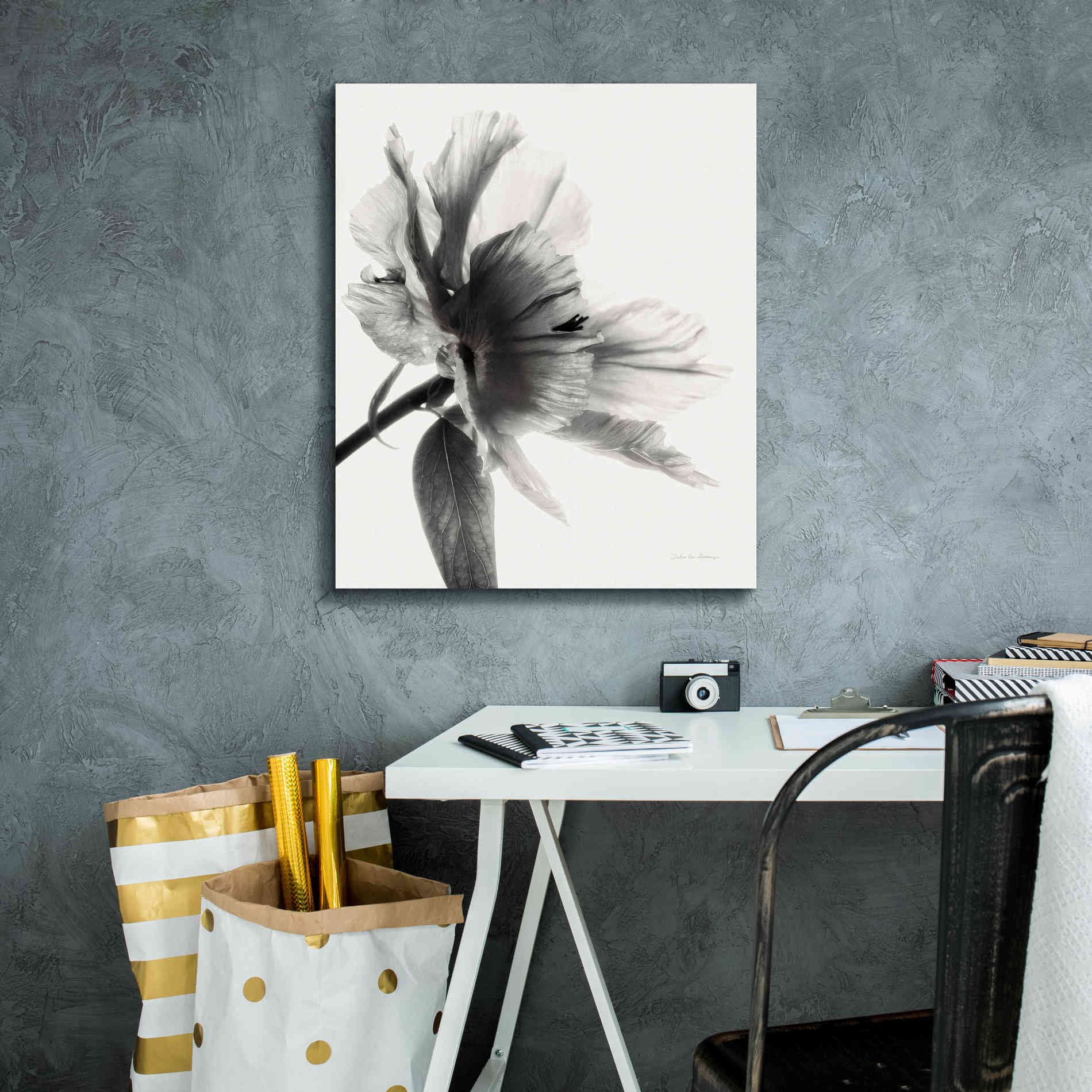 'Translucent Peony IIBW' by Debra Van Swearingen, Canvas Wall Art,20 x 24