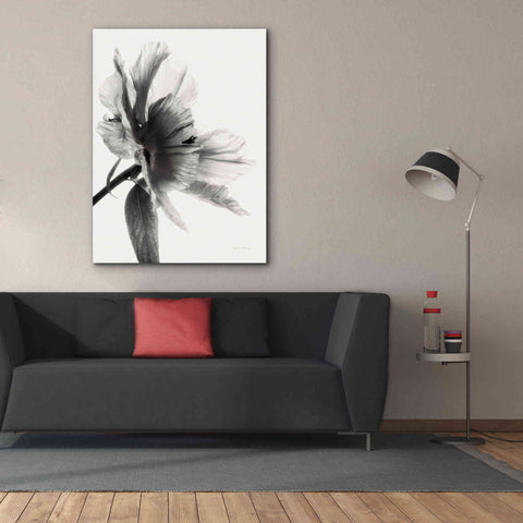 Image of 'Translucent Peony IIBW' by Debra Van Swearingen, Canvas Wall Art,40 x 54