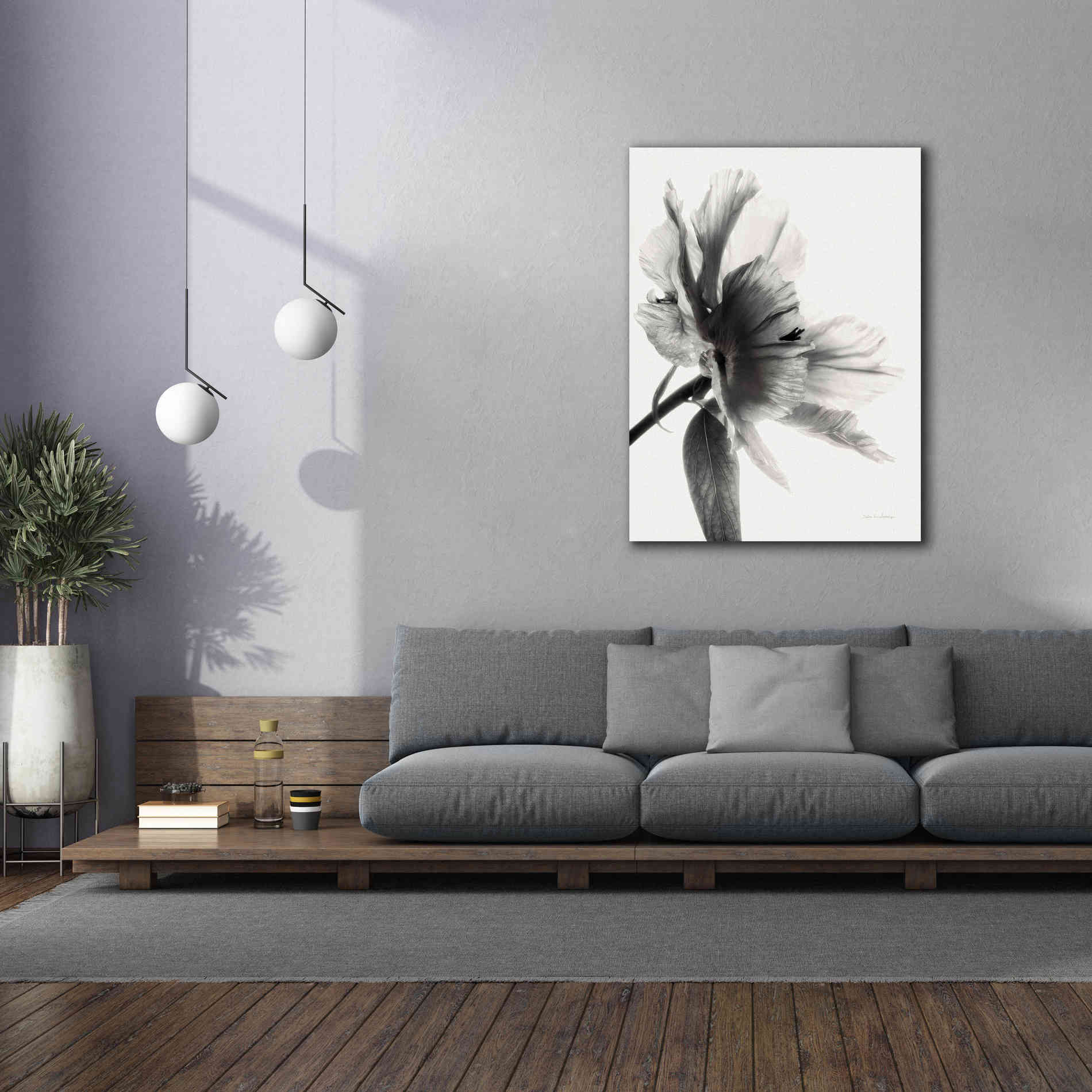 'Translucent Peony IIBW' by Debra Van Swearingen, Canvas Wall Art,40 x 54