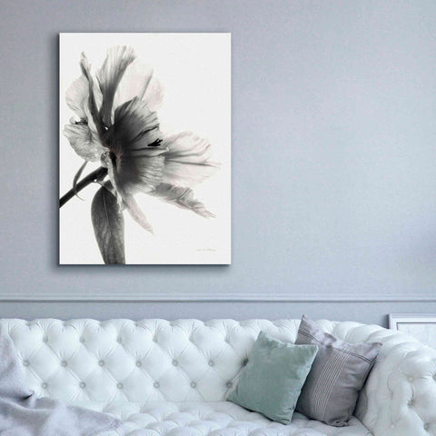 Image of 'Translucent Peony IIBW' by Debra Van Swearingen, Canvas Wall Art,40 x 54